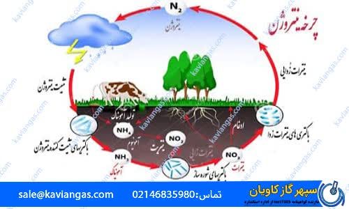 چرخه نیتروژن-سپهر گاز کاویان
