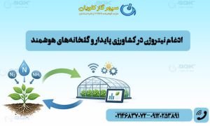 نقش نیتروژن در کشاورزی-سپهر گاز کاویان